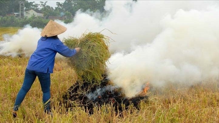 Chấm dứt đốt rơm rạ: Hà Nội siết chặt trách nhiệm địa phương