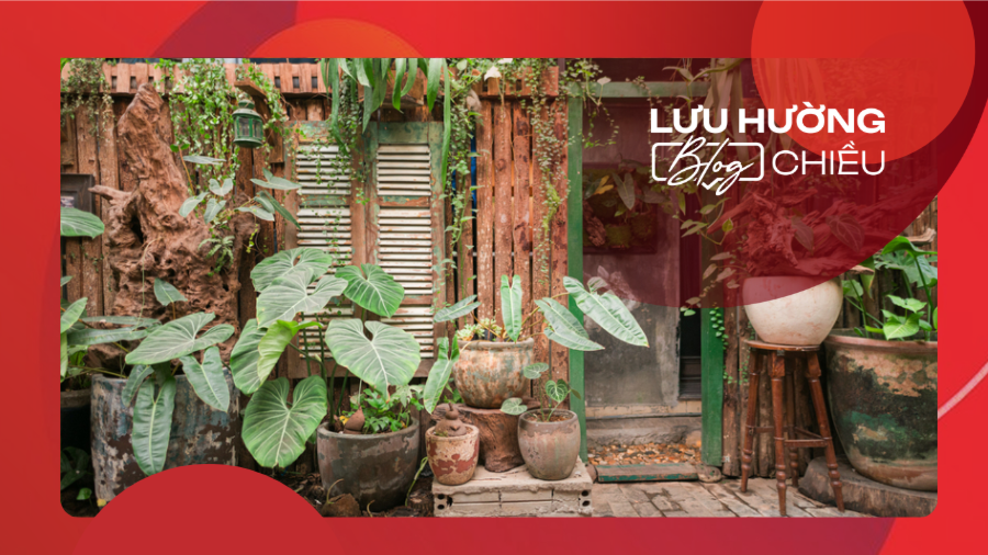 Vườn xanh trong ngõ nhỏ