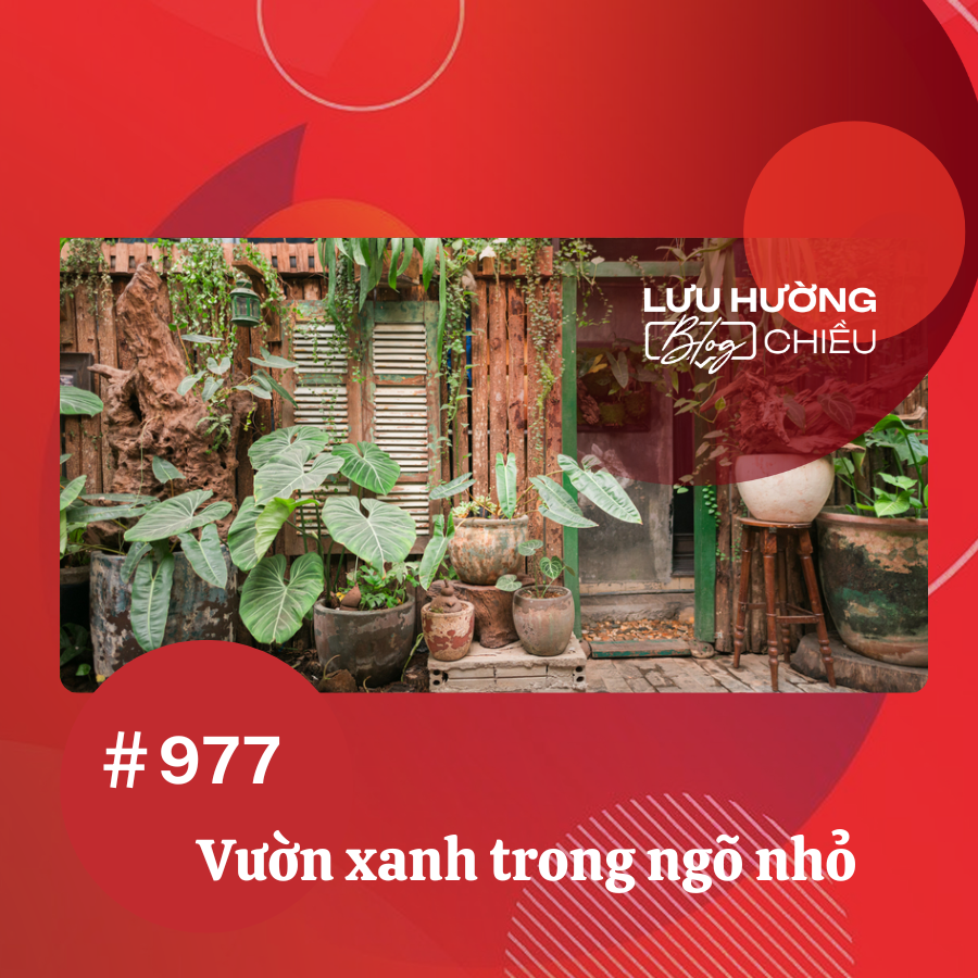 Vườn xanh trong ngõ nhỏ