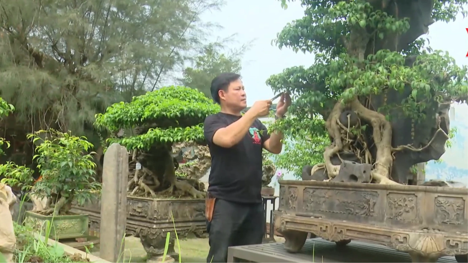 Xã Hồng Vân: Khai thác lợi thế, thực hiện mục tiêu tăng trưởng hai con số