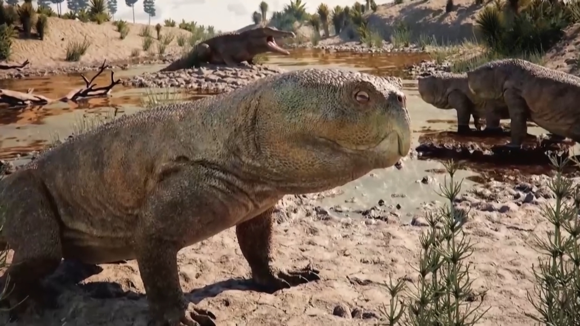 Brazil: Xác định loài bò sát 230 triệu năm