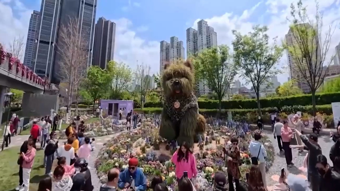 Chú chó “hoa” gây sốt tại triển lãm hoa Thượng Hải