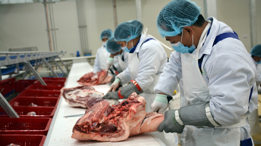 Hà Nội siết chặt kiểm soát giết mổ, đảm bảo ATTP