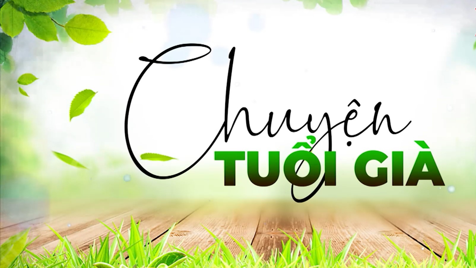 Âm nhạc nuôi dưỡng tâm hồn | Chuyện tuổi già | 26/04/2026