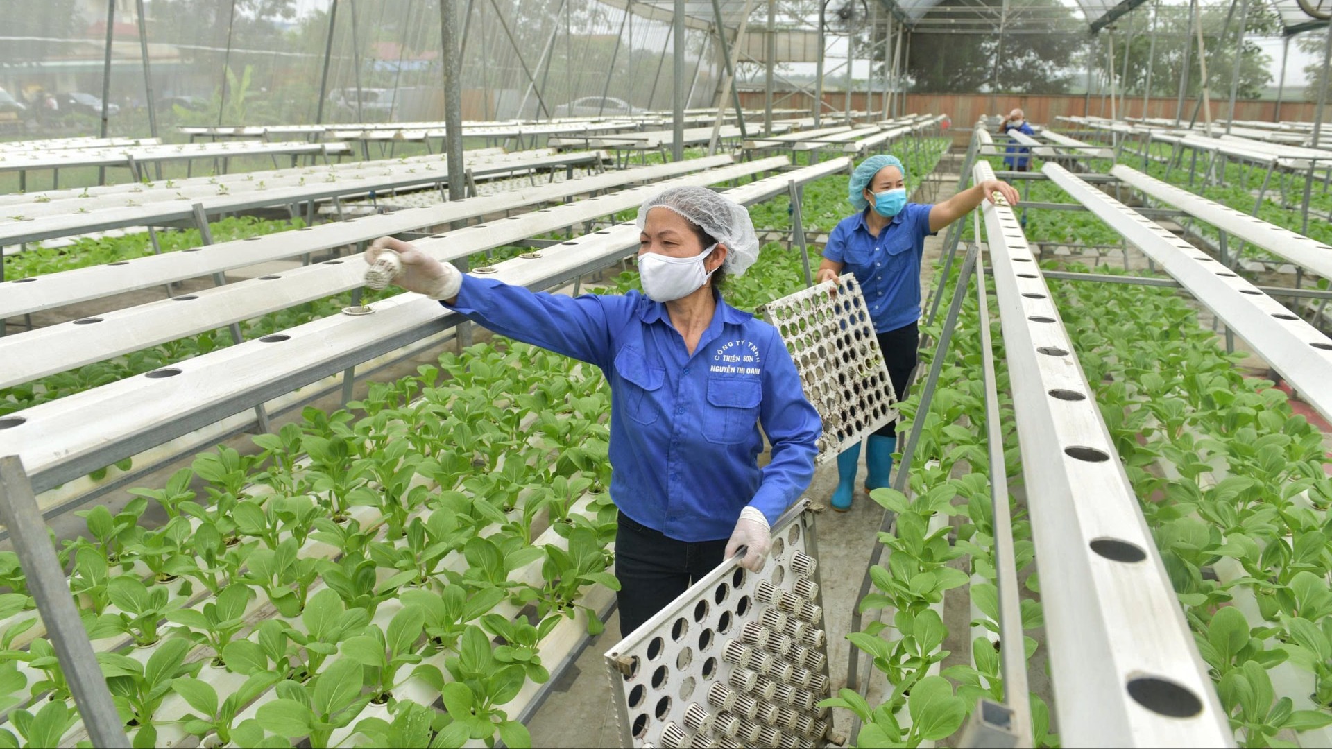 Tư duy mới trong ngành Nông nghiệp Hà Nội