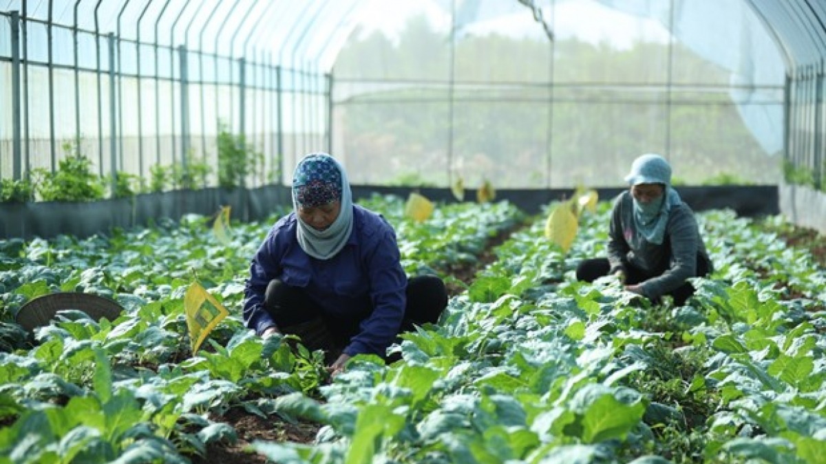 Từ tư duy mới đến hành động cụ thể