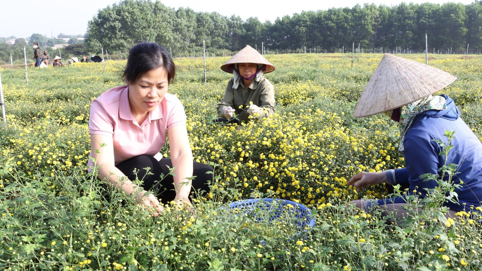 Xây dựng các mô hình du lịch nông nghiệp dịp nghỉ lễ