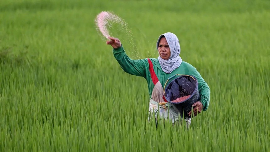 Xung đột Trung Đông đe dọa nguồn cung phân bón của Ấn Độ