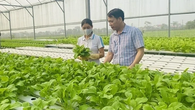 Phấn đấu có thêm 1.000 hợp tác xã trong năm 2026