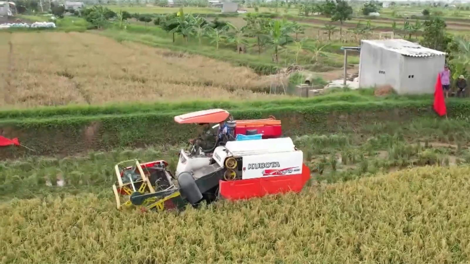 Nông thôn số - xu thế tất yếu | Nông nghiệp nông thôn | 26/03/2026