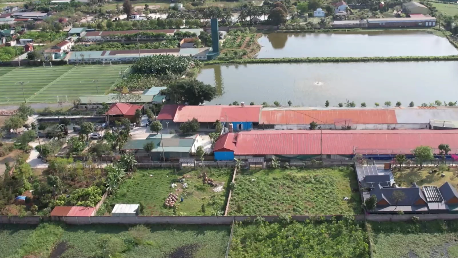 Quốc Oai phát triển các mô hình nông nghiệp thế mạnh | Nông nghiệp nông thôn | 19/03/2026