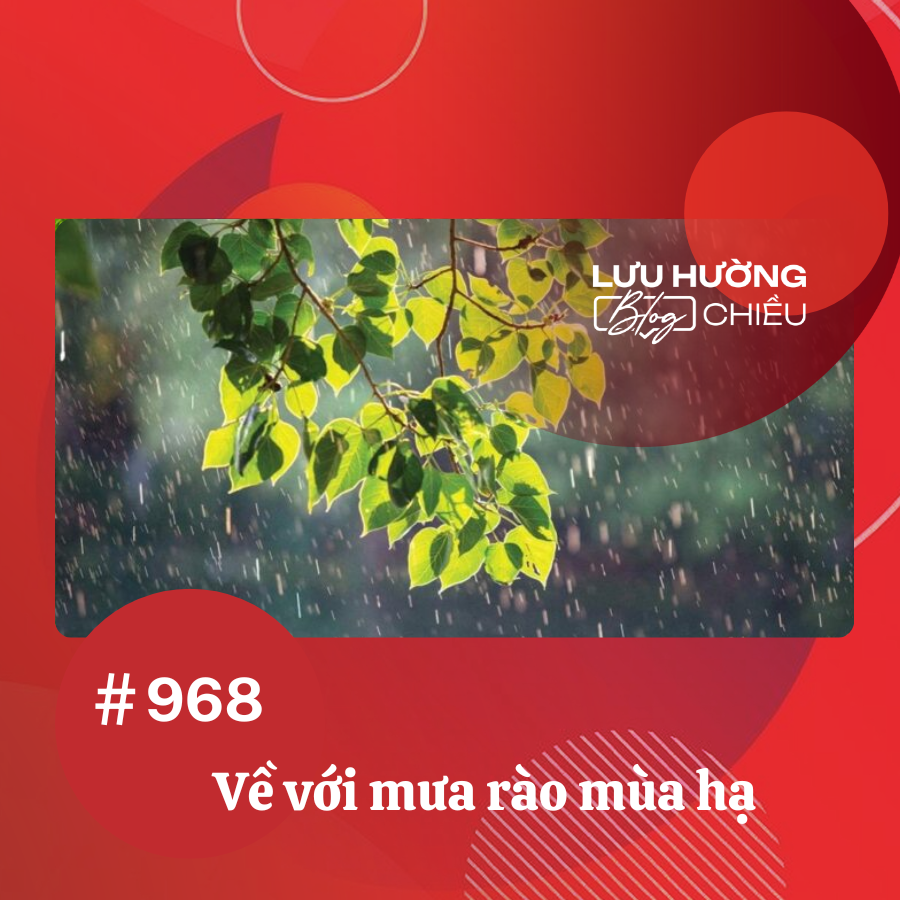Về với mưa rào mùa hạ