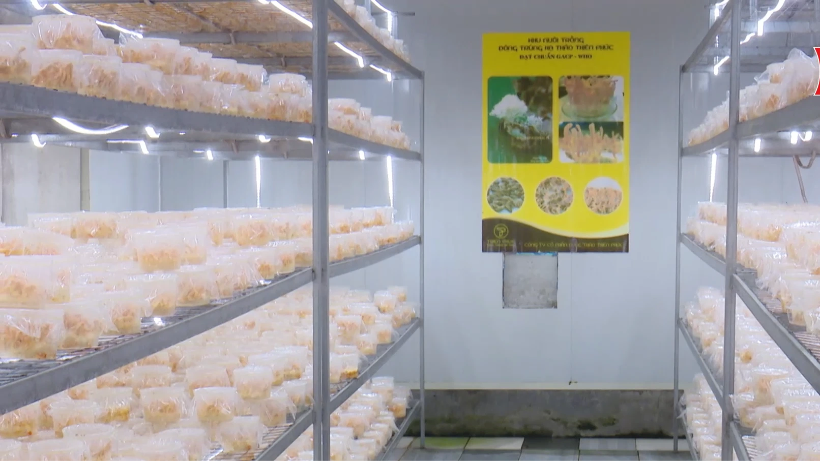 Phát triển mô hình nông nghiệp hiệu quả cao | Nông nghiệp nông thôn | 02/04/2026