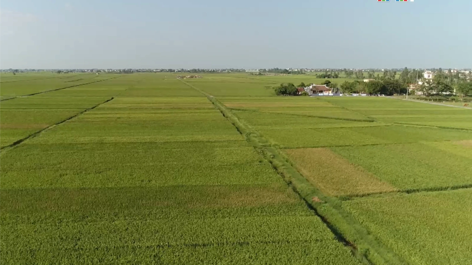 Tín dụng xanh - 'cú hích' cho nông nghiệp hiện đại Thủ đô | Vấn đề kinh tế | 24/03/2026