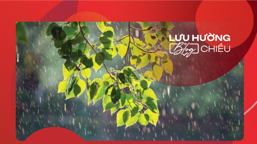 Về với mưa rào mùa hạ