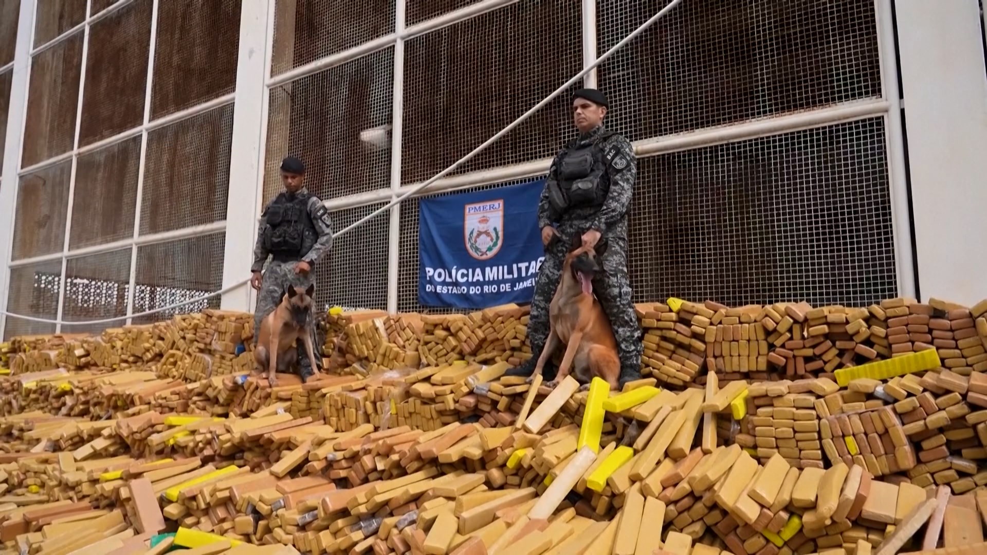 Brazil tịch thu gần 50 tấn cần sa tại khu ổ chuột