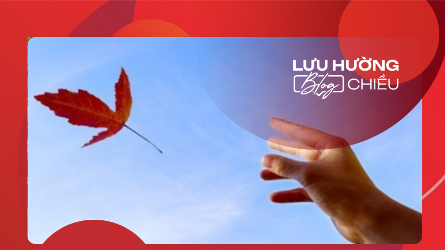 Người đến giữa mơ và thực