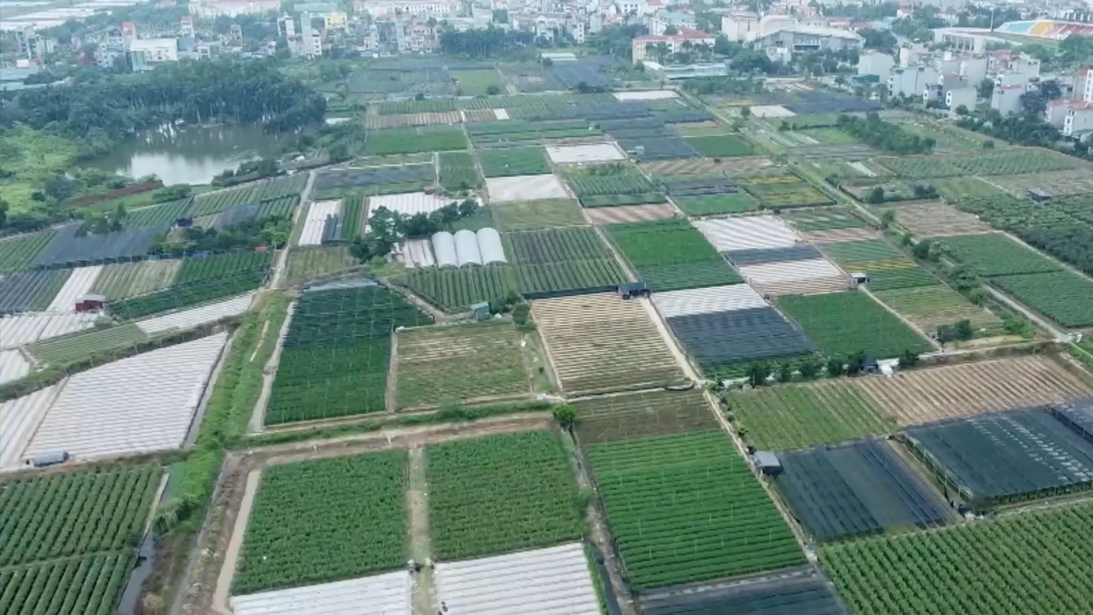 Kiên quyết xử lý các dự án không triển khai, 'ôm đất, giữ chỗ'