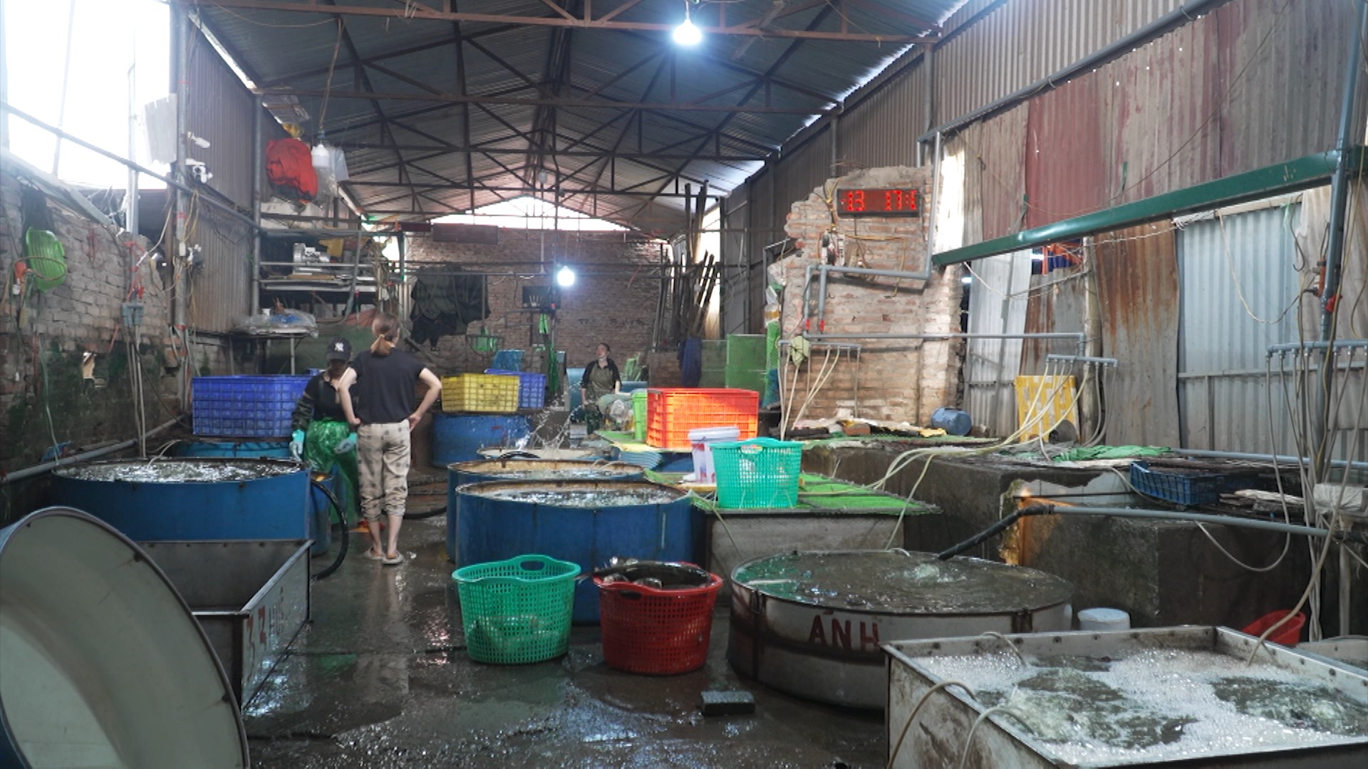 Phường Hoàng Mai đề xuất tháo gỡ 'điểm nghẽn' chợ cá Yên Sở
