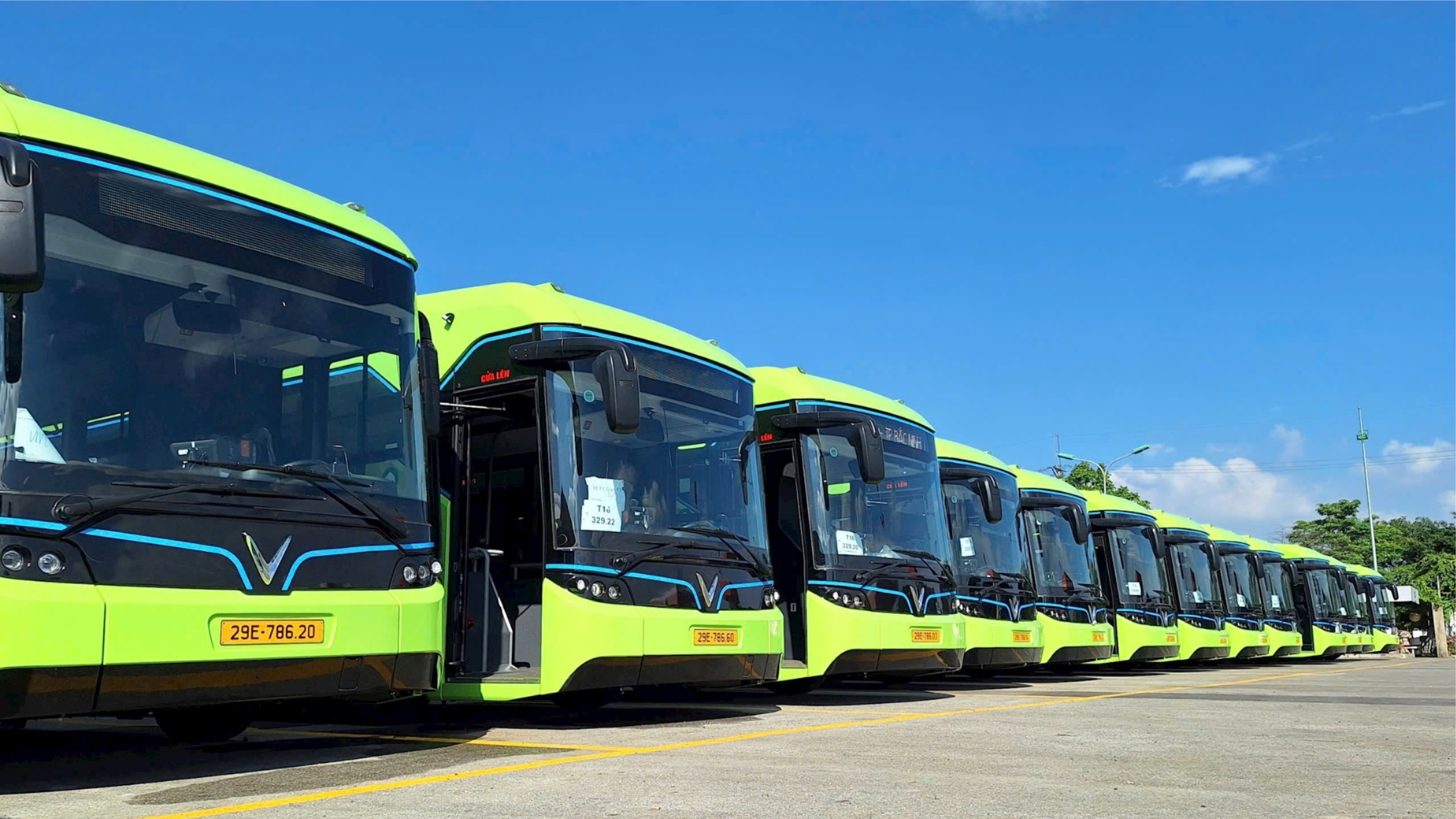 Transerco chuyển đổi được 238 xe buýt điện trên 14 tuyến buýt 