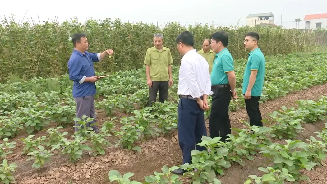 UBND cấp xã được cấp phép xây dựng trên đất nông nghiệp