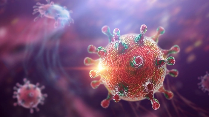 EU tăng cường chia sẻ thông tin nhằm ứng phó với virus Hanta