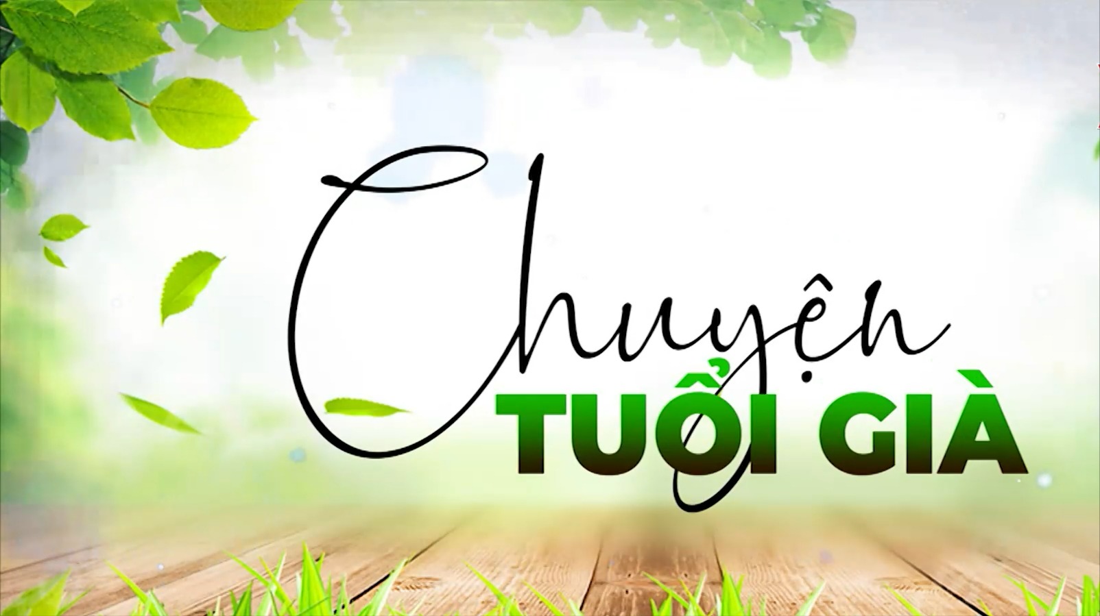 Thơ ca trong đời sống người cao tuổi | Chuyện tuổi già | 17/05/2026