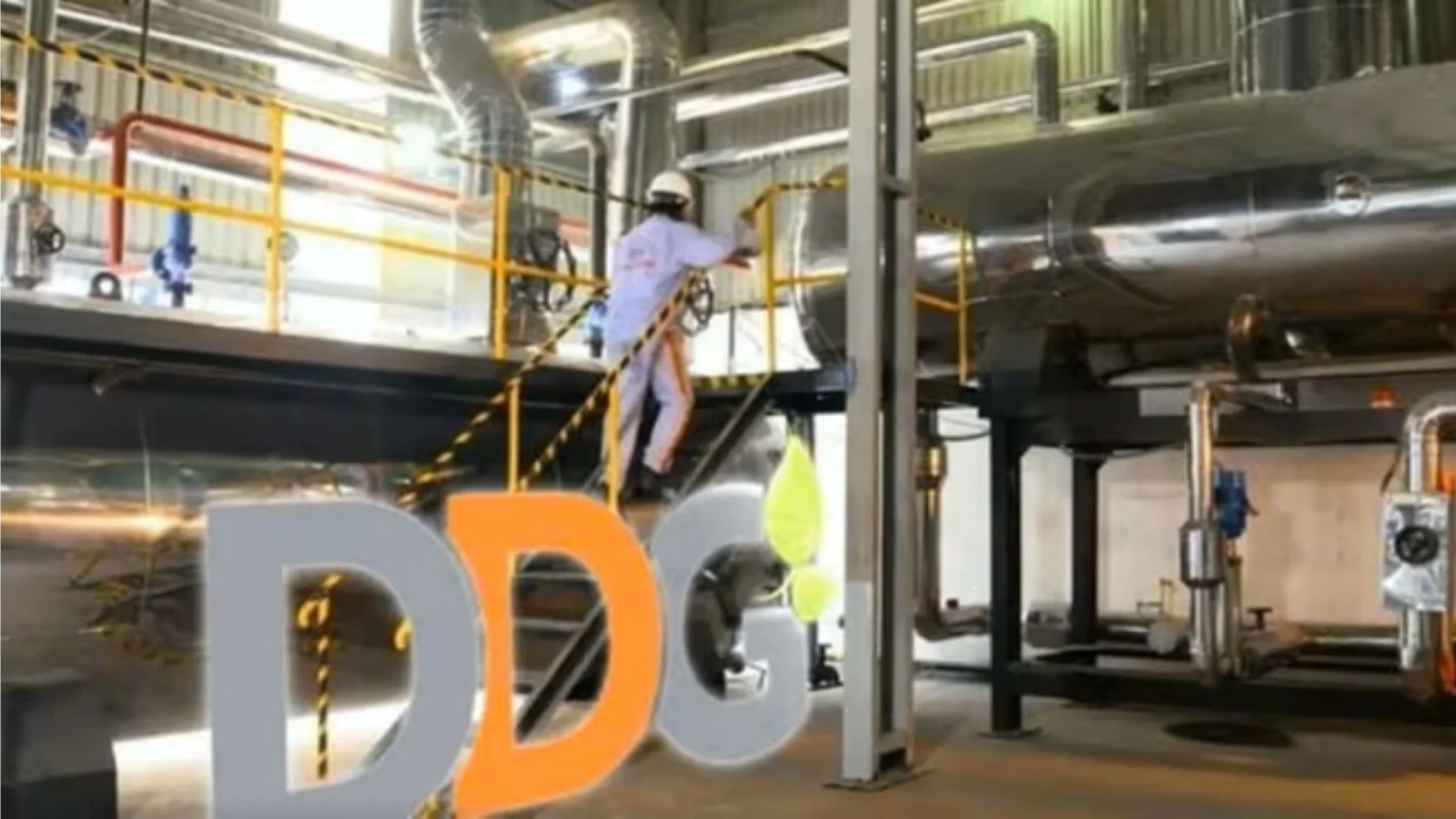 DDG đứng trước nguy cơ hủy niêm yết do thua lỗ