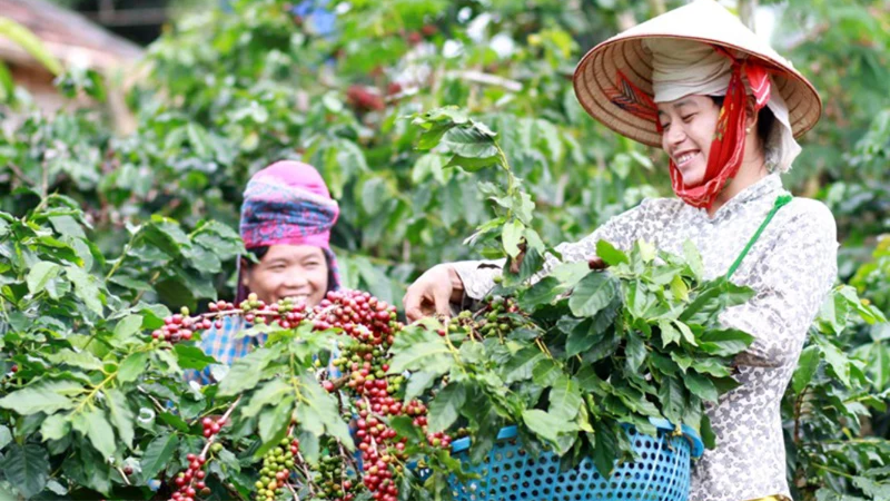 Xuất khẩu nông, lâm, thủy sản vượt 23 tỷ USD