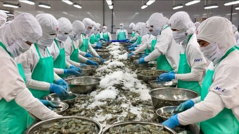 Triển lãm quốc tế khoa học công nghệ thuỷ sản Việt Nam
