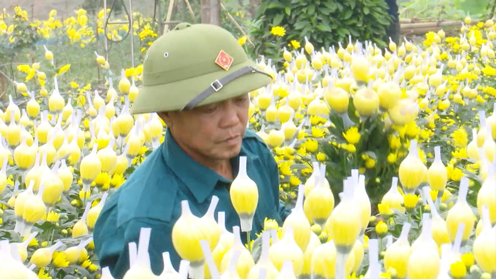 Người 'giữ lửa' cho nông nghiệp quê hương | Người tốt quanh ta | 21/05/2026