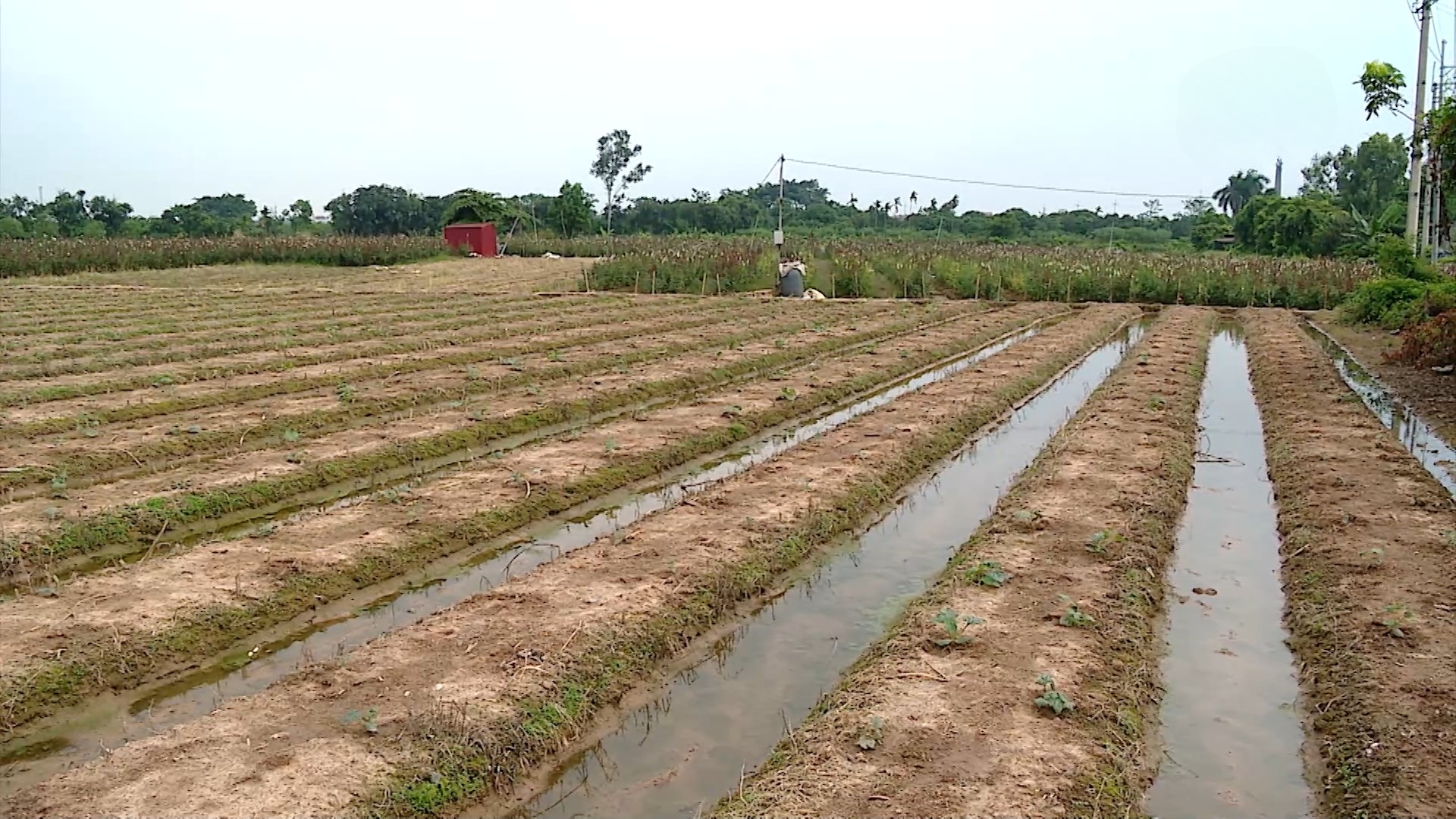 Lãng phí nguồn lực đất đai từ các dự án chậm triển khai