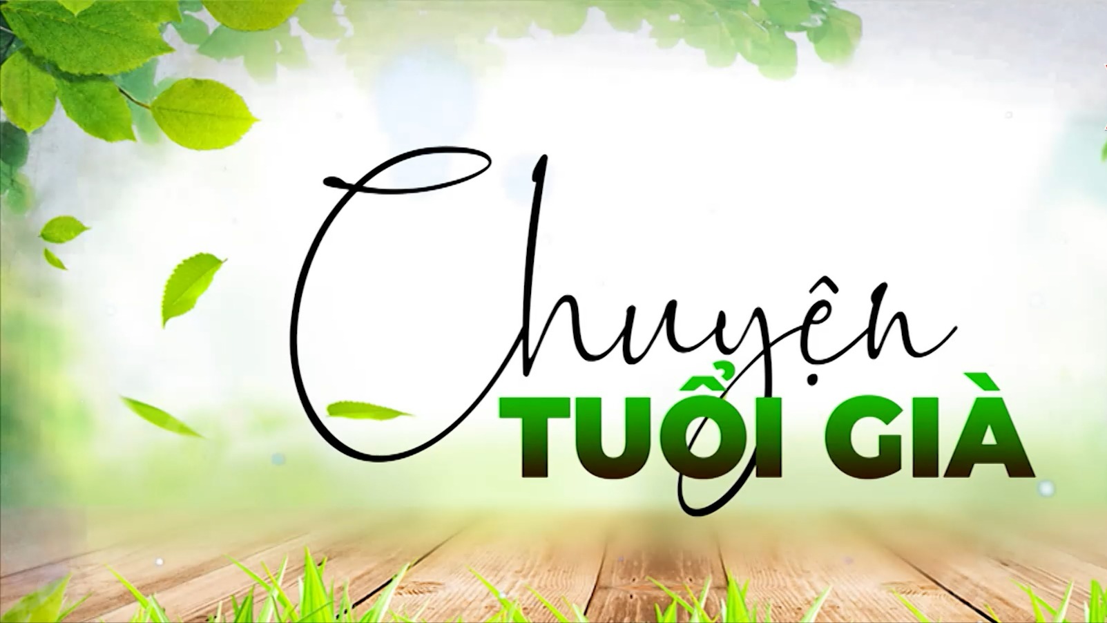 Những người truyền lửa nghệ thuật dân gian | Chuyện tuổi già | 24/05/2026