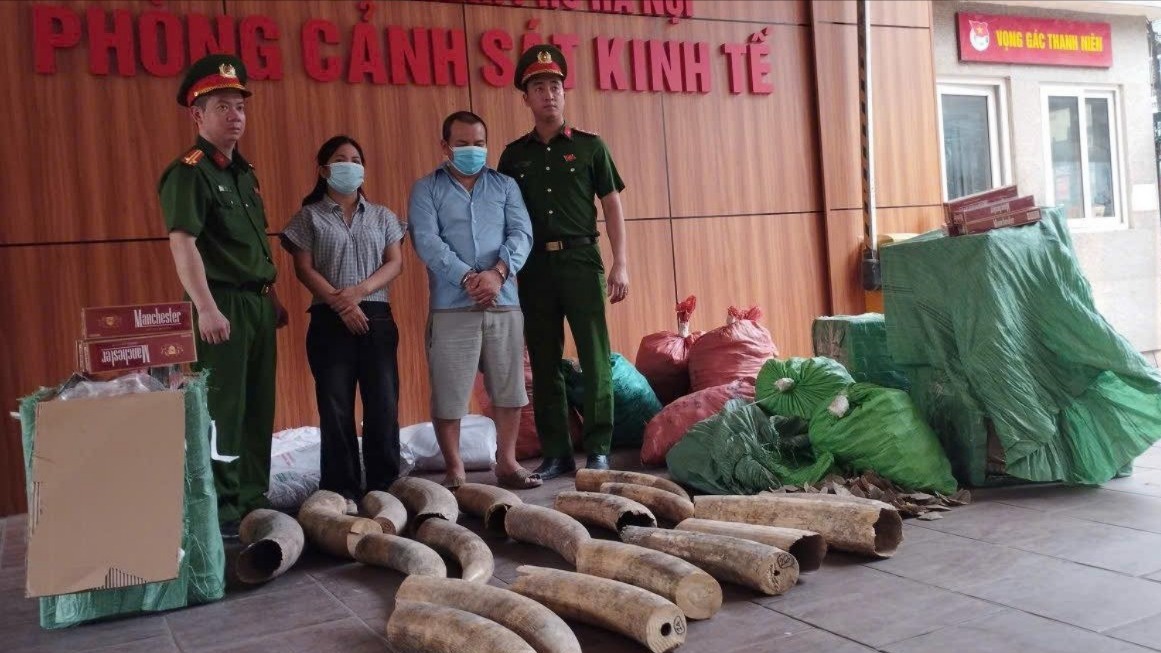 Triệt phá đường dây buôn lậu ngà voi và thuốc lá ngoại