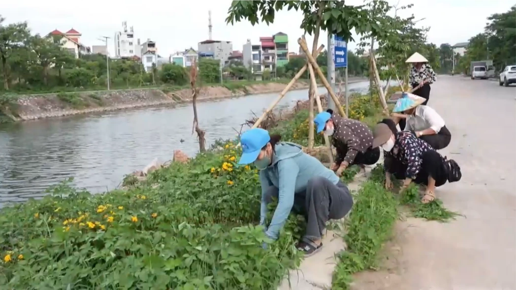 Giữ màu xanh từ mỗi ngõ xóm