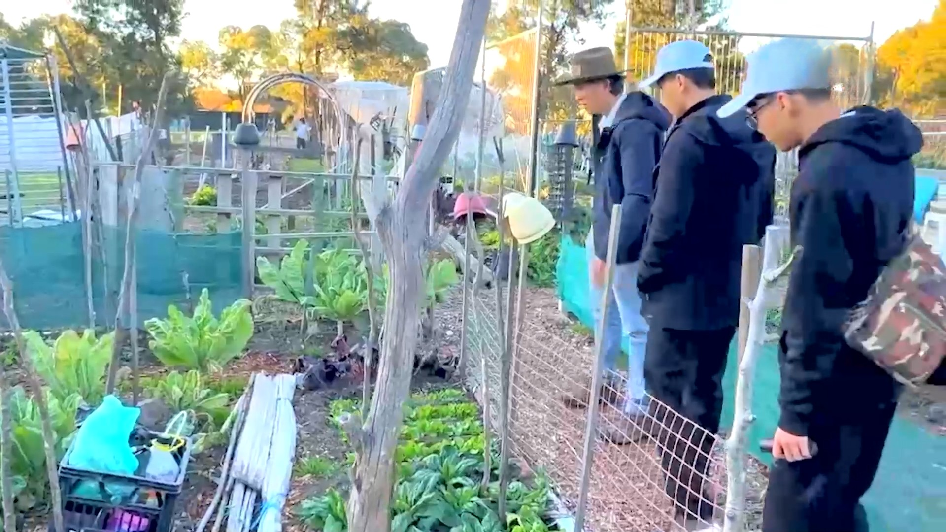 Hành trình gieo mầm nông nghiệp xanh từ Australia | Người Việt 5 châu | 19/04/2026
