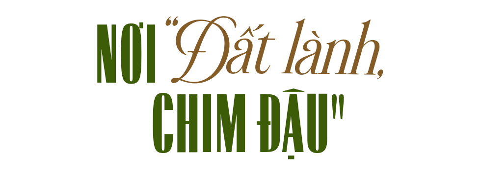 Đài PTTH Hà Nội