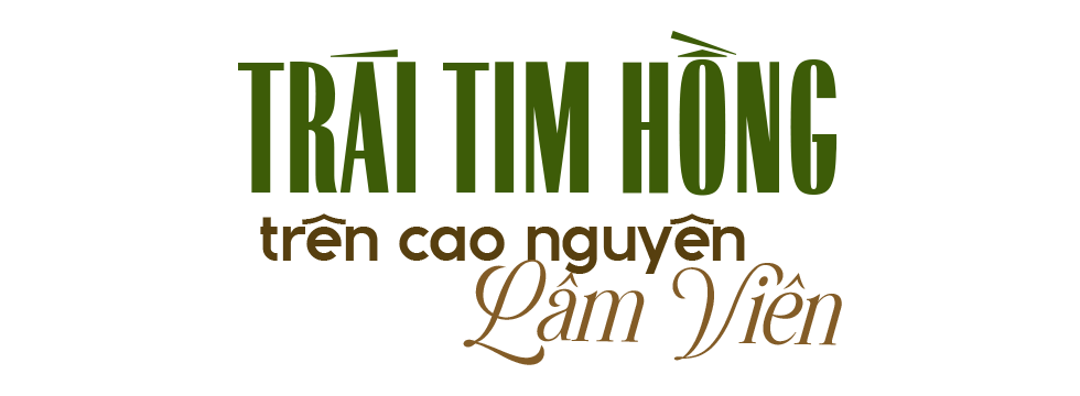 Đài PTTH Hà Nội