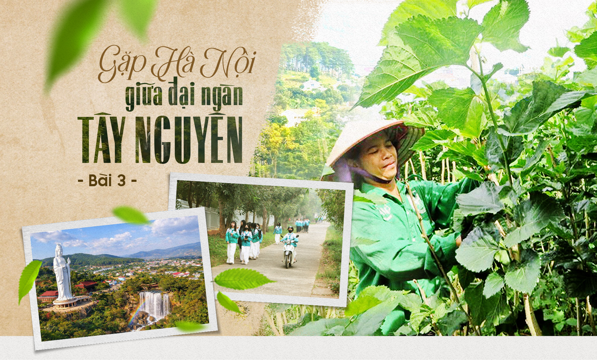 Đài PTTH Hà Nội