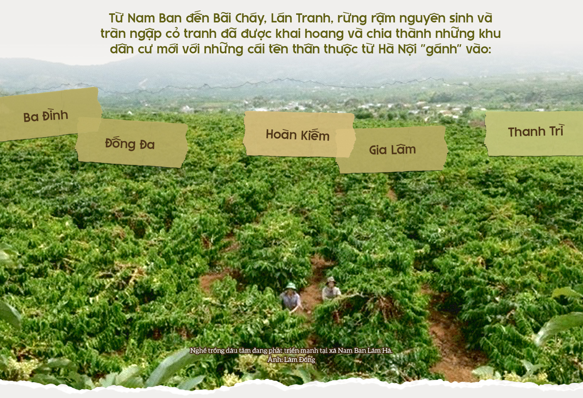Đài PTTH Hà Nội