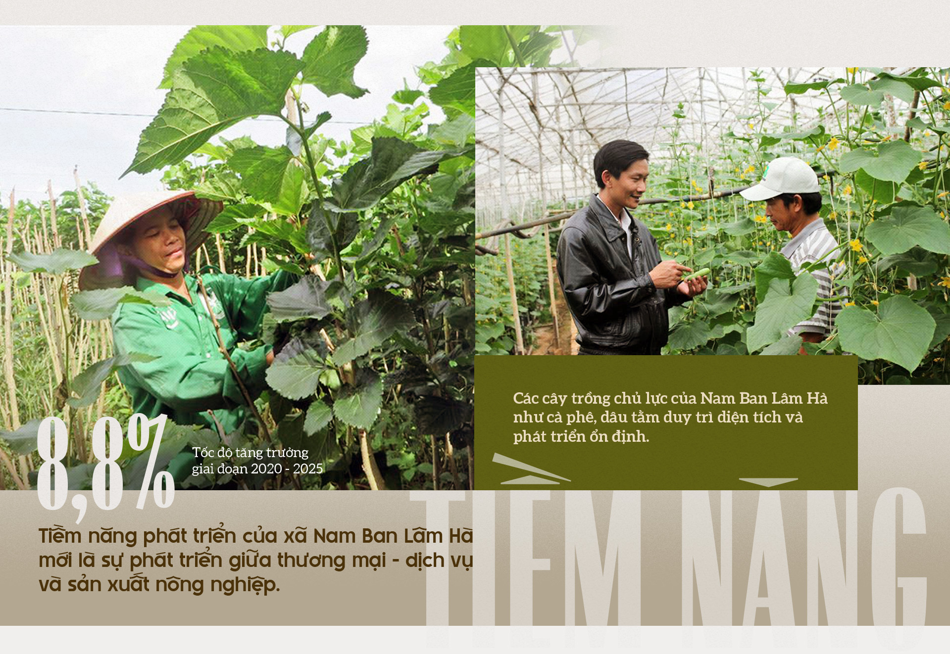 Đài PTTH Hà Nội