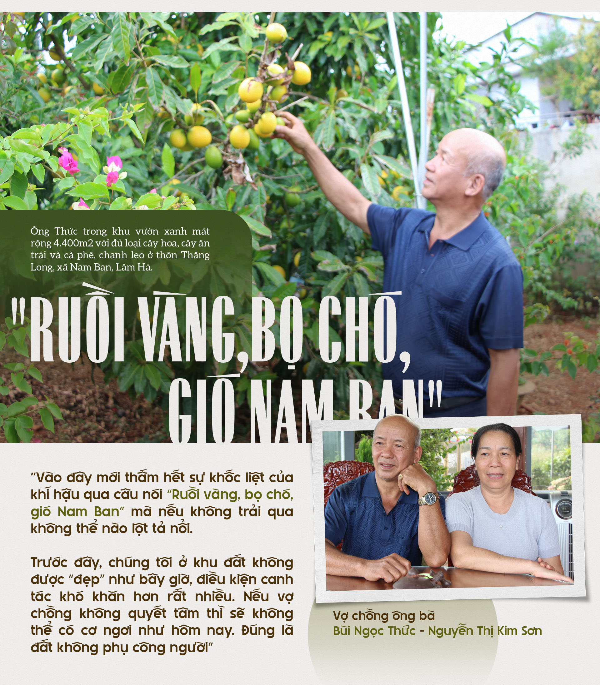 Đài PTTH Hà Nội