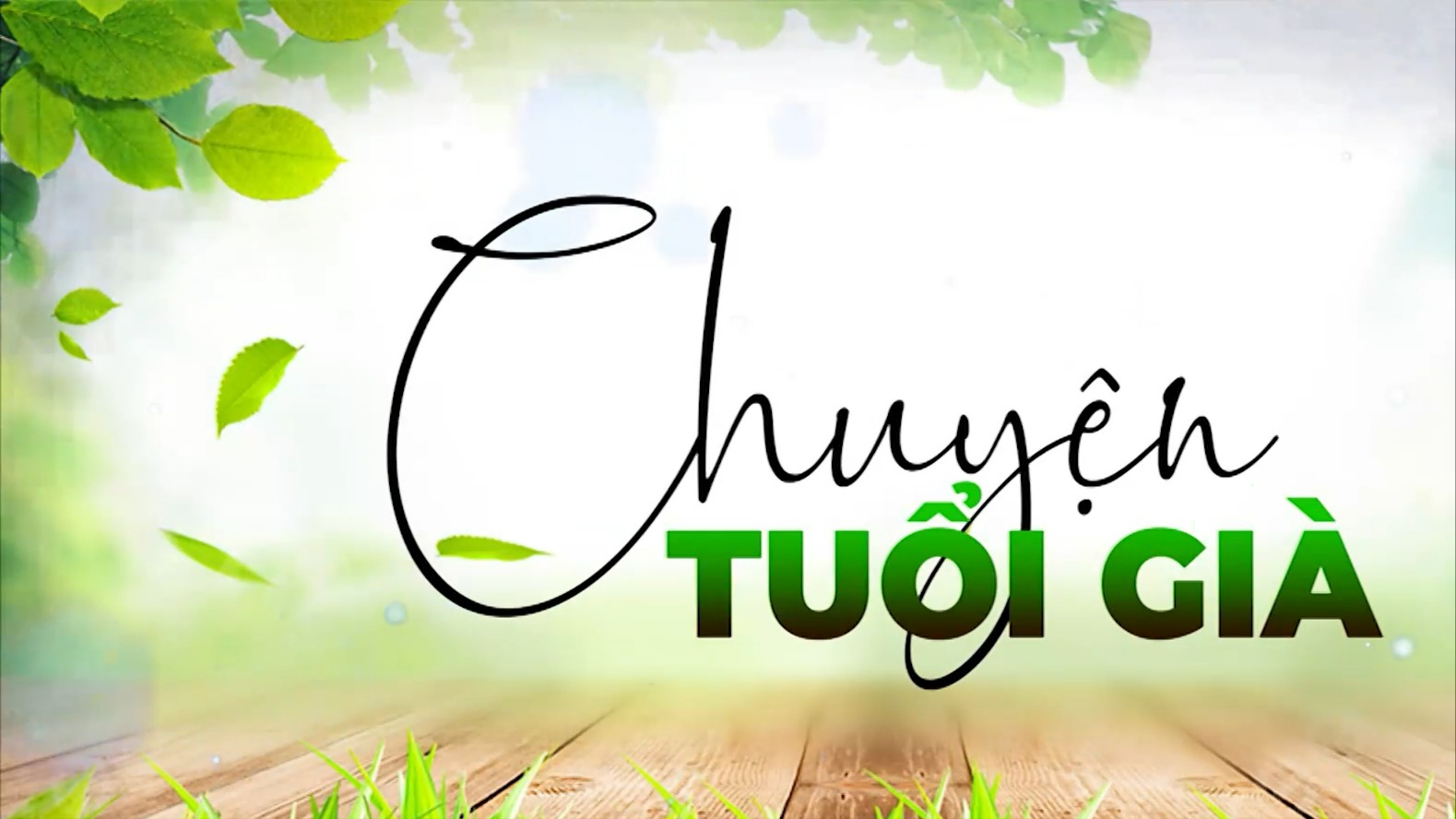 Người cao tuổi xây dựng môi trường xanh, sach, đẹp | Chuyện tuổi già | 31/05/2026
