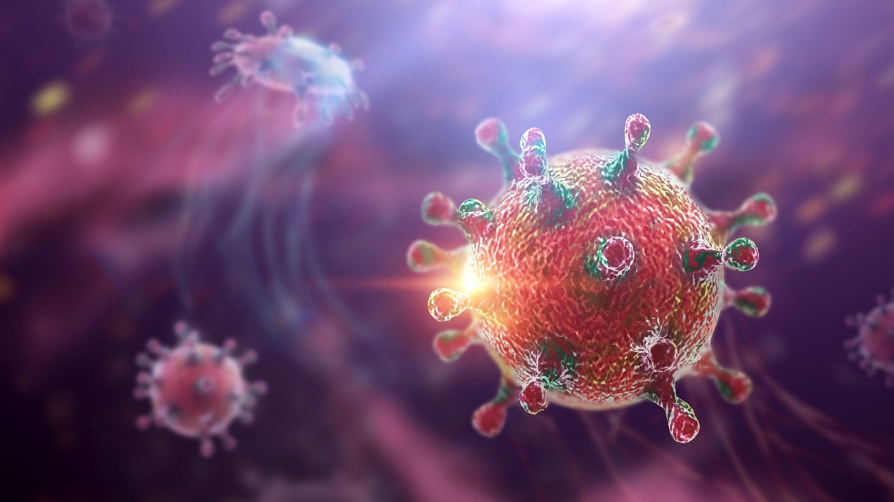 Những điều cần biết về virus Hanta