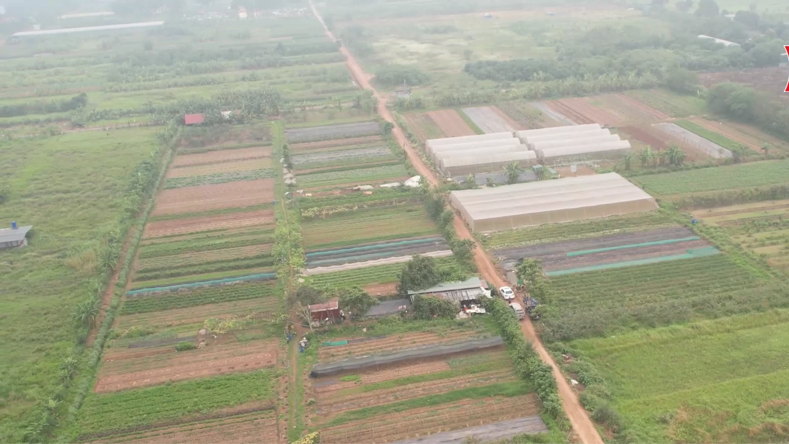 Phát triển mô hình mới mang lại hiệu quả | Nông nghiệp nông thôn | 16/04/2026