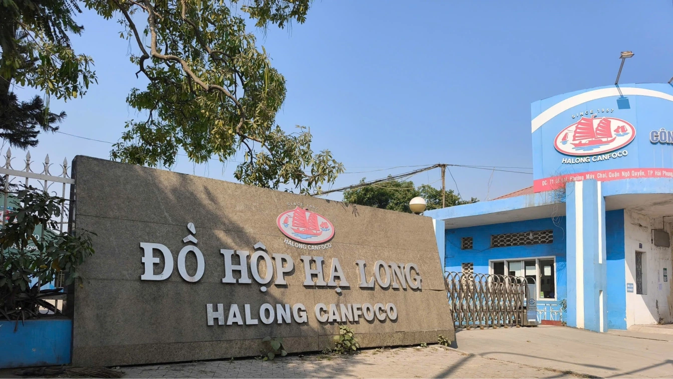 Đồ hộp Hạ Long lỗ quý I/2026 gấp 10 lần cùng kỳ