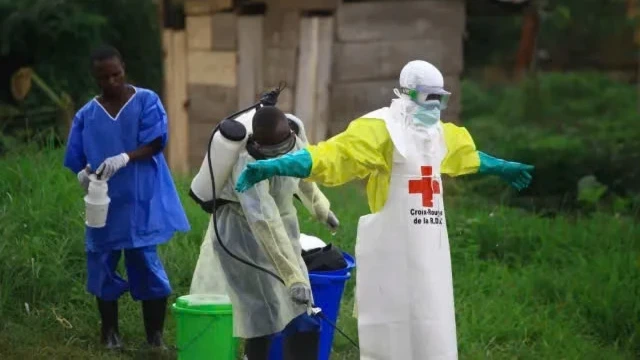 WHO đánh giá nguy cơ Ebola lan ra ngoài châu Phi