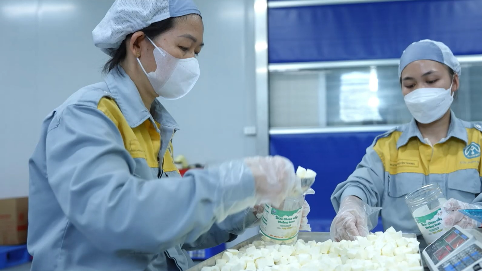 Sữa chua sấy thăng hoa | Mỗi xã một sản phẩm |31/05/2026