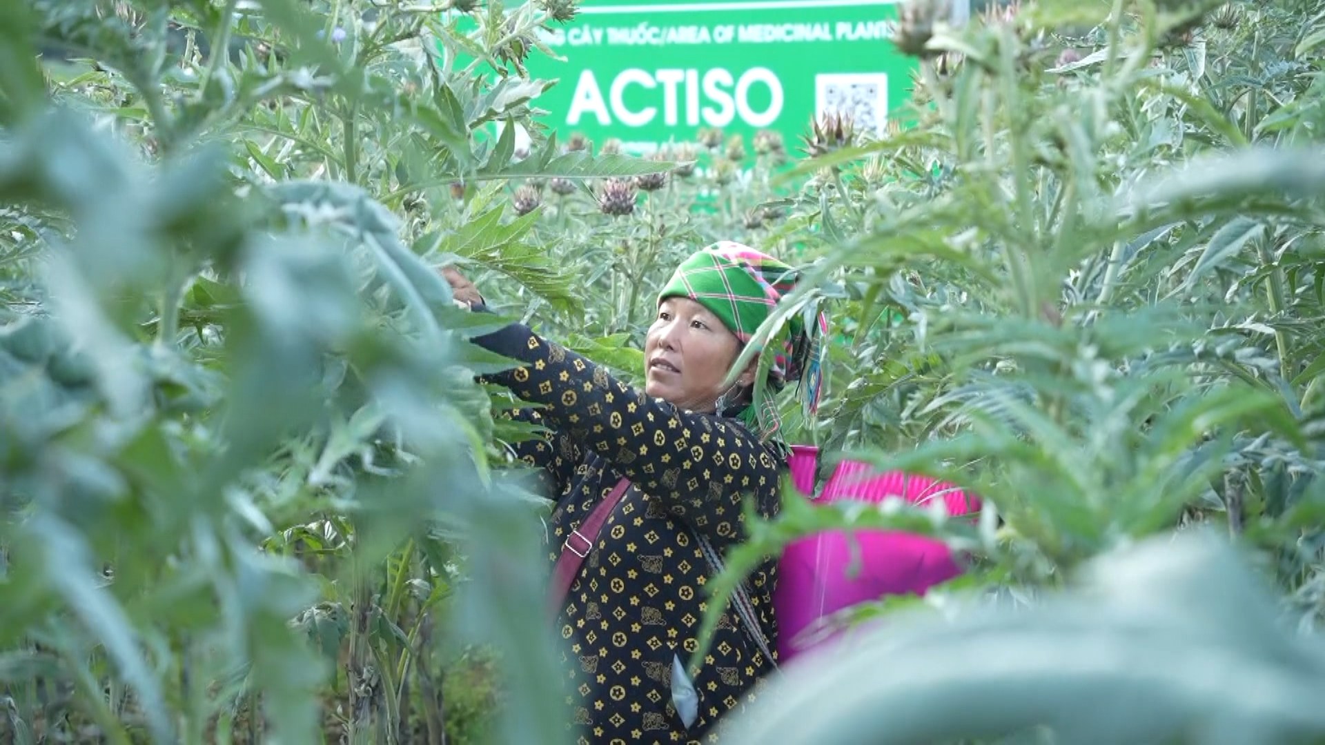Nối dài chuỗi liên kết bốn nhà
