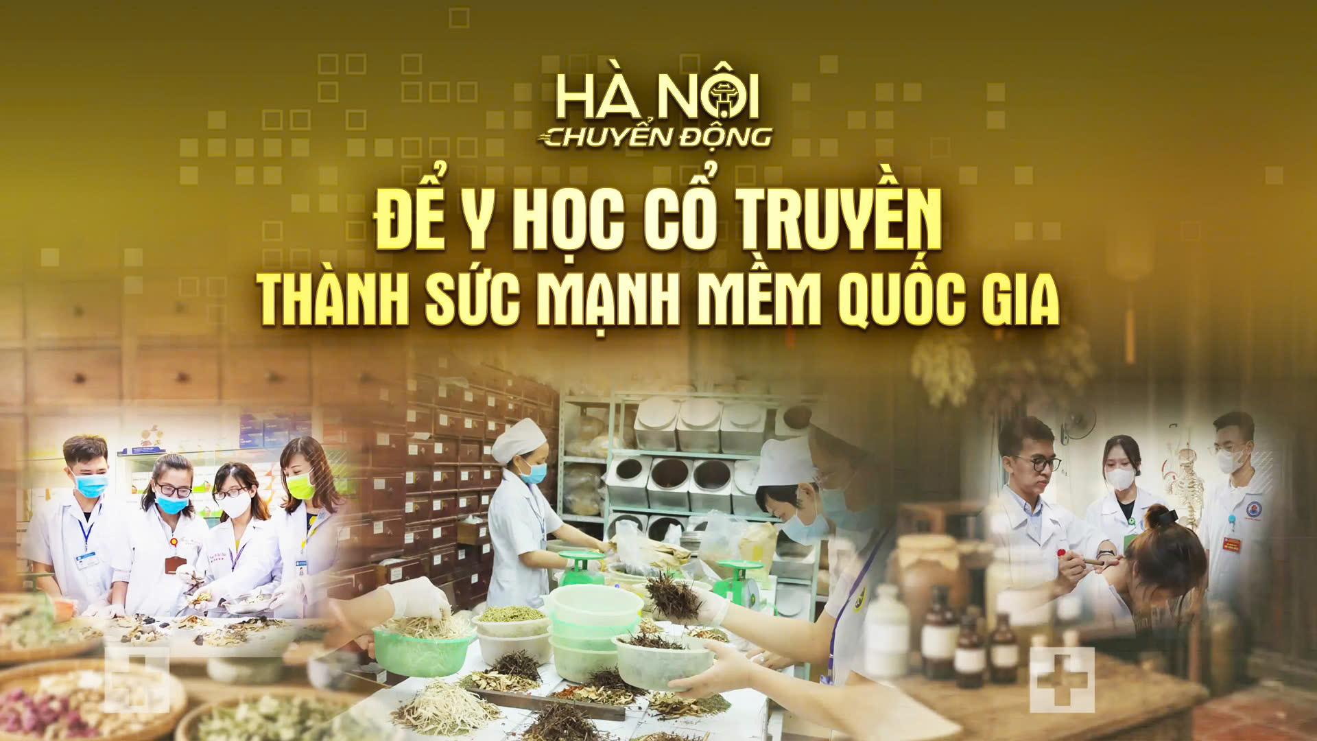 Hà Nội chuyển động 12/6: Để y học cổ truyền thành sức mạnh mềm quốc gia